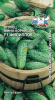 Огурец Филиппок F1 СДК 0,3г (Ср.Пч)®